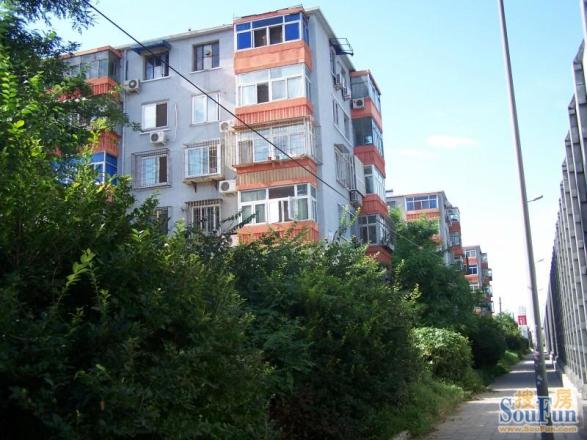 通州滨河小区实景图