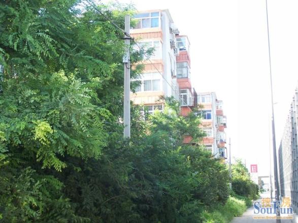 通州滨河小区实景图