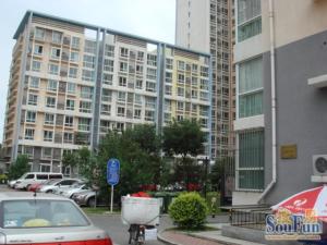 朝阳捷座2室1厅北南