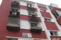 东架松实景图