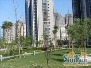 丽泽商务区南向一居楼层位置好配套近生活方便