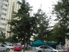 石佛营西里 全南向5层 满五年唯一 精装修一居