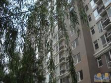 六里桥·林滤家园·2室·1厅·诚心出售
