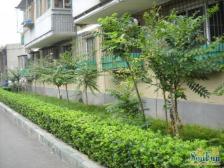 秀水园朝阳公园三里屯国贸