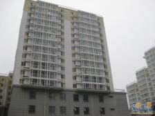 弘善家园2室1厅东北