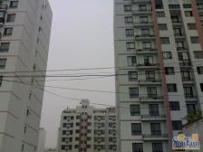 益辰欣园3室2厅南北