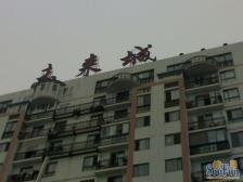 益辰欣园2室1厅南北