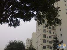 草桥·草桥欣园三区·1室·1厅