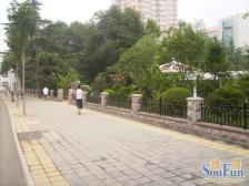 堤口路 单位宿舍 客厅带明窗 繁华地段 地铁出行