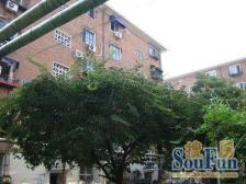 云栖里 1室0厅 西