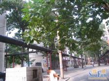 汝河小区 1室1厅 南 北