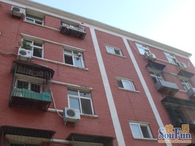  ����������סլ�� 