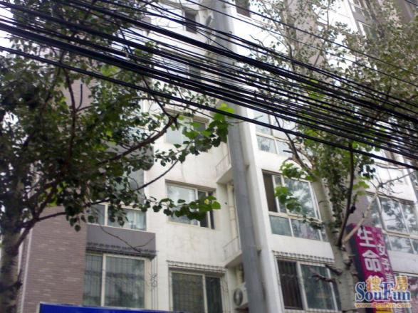 首座绿洲实景图