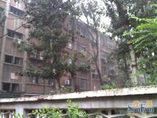 红桥区丁字沽街丁字沽十三段1室0厅