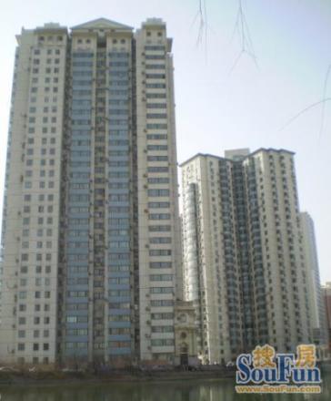天龙华鹤实景图