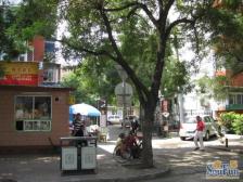 北大地低楼层精装两居室诚心卖随时签出行便利