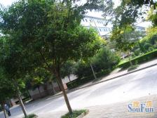 农科院东院小高层 200平大平层 4室2厅双气地暖