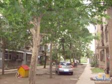 大桥局两房,小区大停车方便,户型方正,业主诚心出售