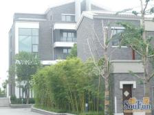 郑东新区 电梯洋房 通透户型 边户 十万火急 急售好房