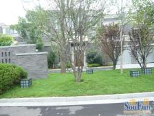 熙地港旁,纯南两房户型,诚心出售,高楼层采光好