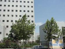 花园路北三环 地铁二号三房 文一47 门口市政公园