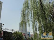 2号线北三环地铁口 北苑小区 文一和四十七 满五唯一