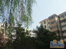 花花牛家属院,有暖气,中间楼层,南北通透,全款房