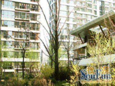 丰仪家园实景图