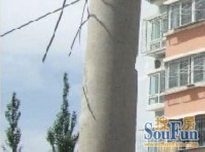 丰仪家园实景图