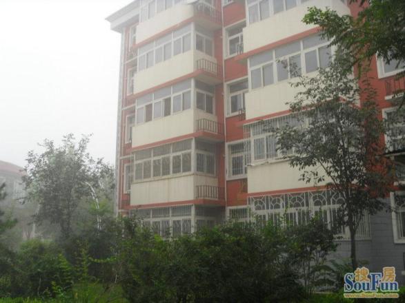 金果林实景图