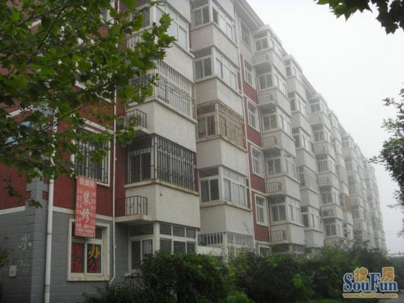 金果林实景图