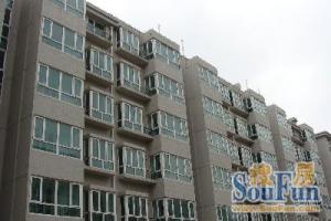 【店长主推】落地窗采光好满五年商品房钢混
