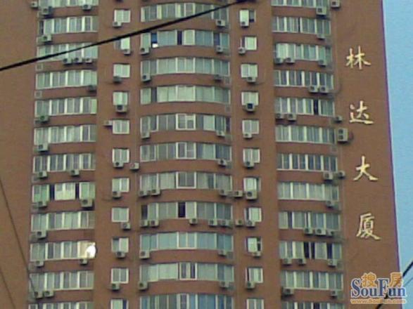 林达大厦实景图