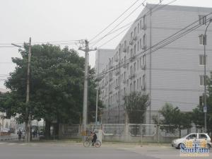 青年公寓1室0厅北