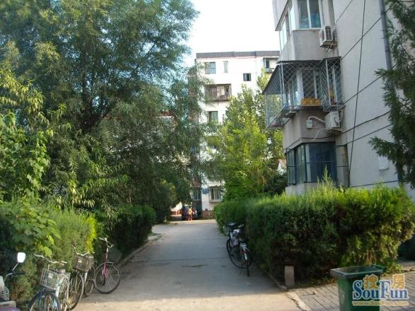 玉桥佳园实景图