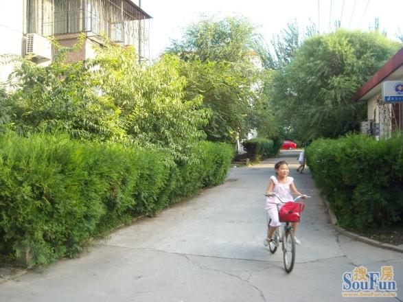 玉桥佳园实景图