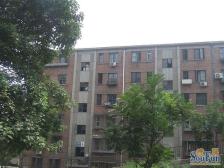 满五唯一 低楼层适合居住 采光和通风效果好