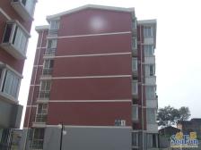 城子西七棵树90号院 2室1厅 南 北