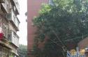 中建七局宿舍实景图