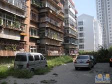 泰来里 六楼东西向 看房方便 诚意出售