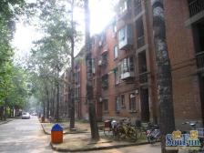 棉纺路锦艺城低总价地段温馨一房