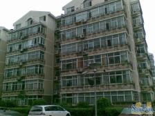 胡桃园低楼层正规明厨明卫两居室