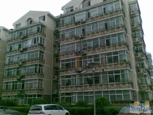 胡桃园低楼层正规明厨明卫两居室