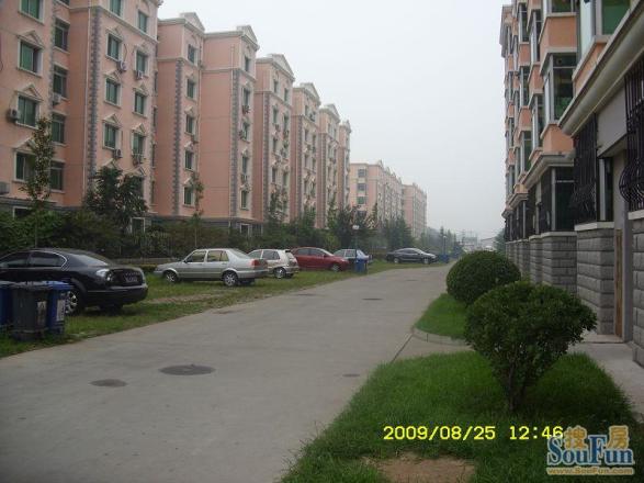 迎喜家园实景图