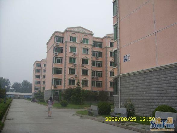 迎喜家园实景图