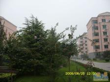 迎喜家园 2室1厅 南 北