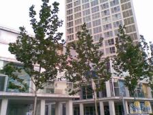 建外soho西区3室1厅西南