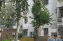 经济学院宿舍实景图