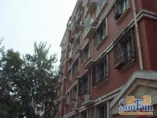 2楼 水上公园 有钥匙 联盟大四室 不占42籍