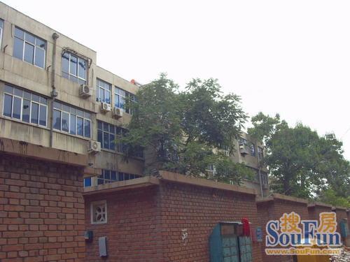 师范街7号实景图